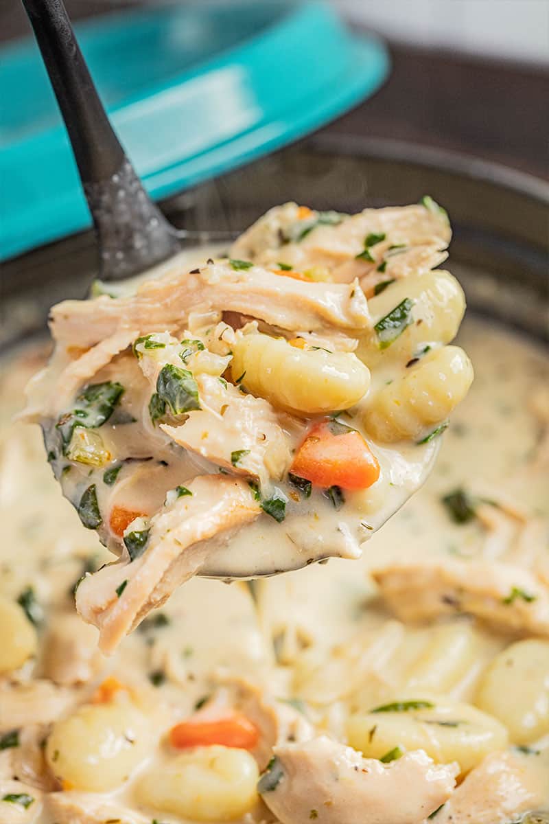 A ladle full of chicken gnocchi soup.