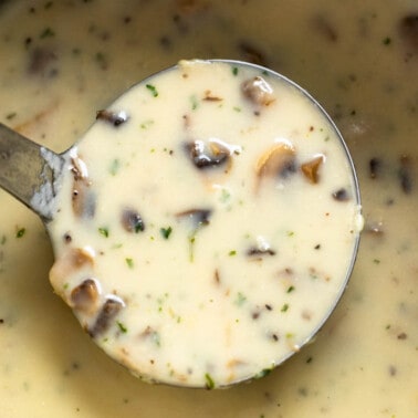 A close up view of a ladle scooping out cream of chicken soup from the pot.