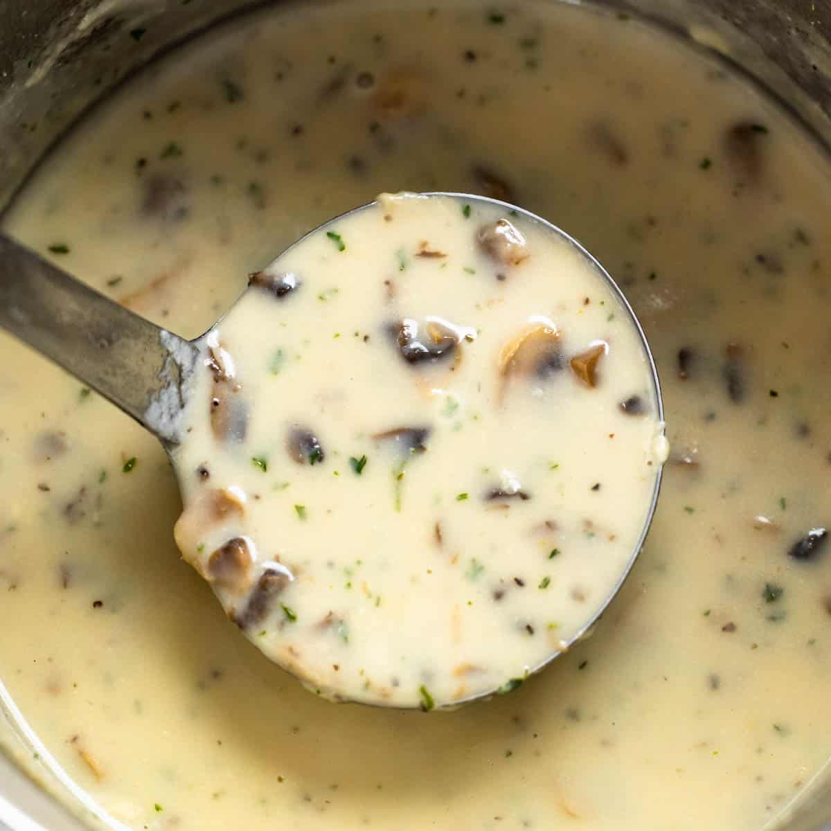 A ladle scooping out homemade cream of chicken soup from the pot.