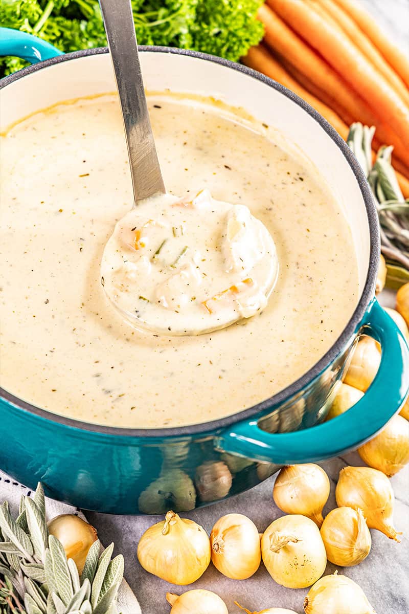 A ladle dipped into a stockpot of creamy chicken soup.