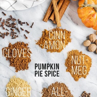 Overhead view of all of the spices that go into homemade pumpkin pie spice.