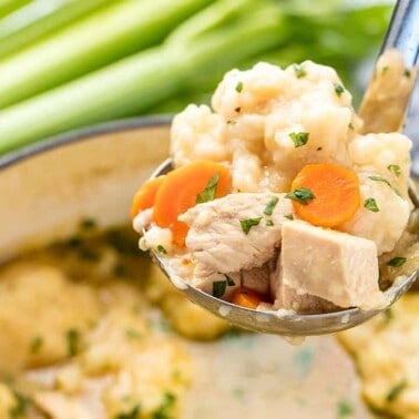 A spoon of old fashioned chicken and dumplings