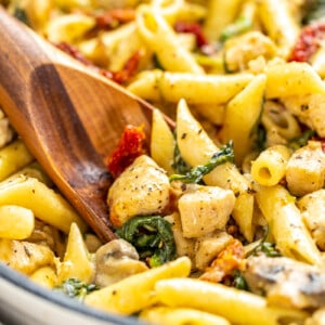 Italian chicken and pasta in a pot.