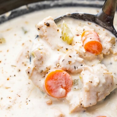 Overhead view looking into a slow cooker filled with chicken soup.