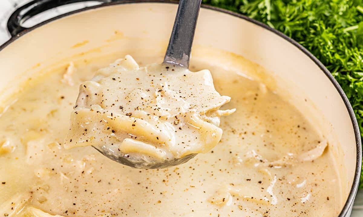 A ladle filled with chicken and dumplings.