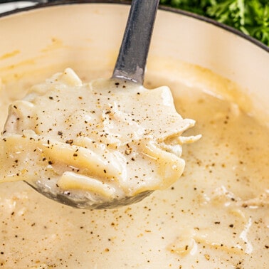 A ladle filled with chicken and dumplings.