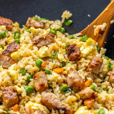 Close up view of pork fried rice.